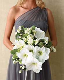 Tucson, AZ Stunning Weddings & Events
